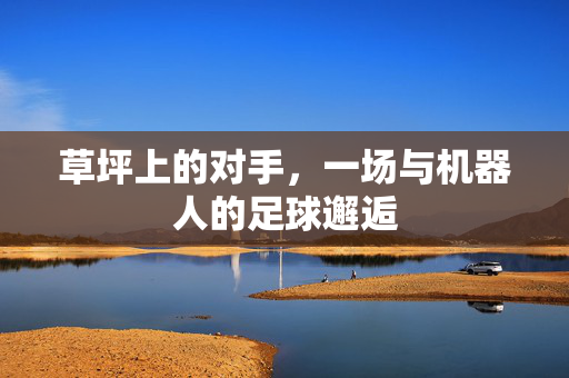 草坪上的对手，一场与机器人的足球邂逅