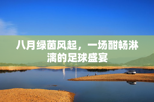 八月绿茵风起，一场酣畅淋漓的足球盛宴