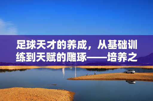 足球天才的养成，从基础训练到天赋的雕琢——培养之路的关键要素