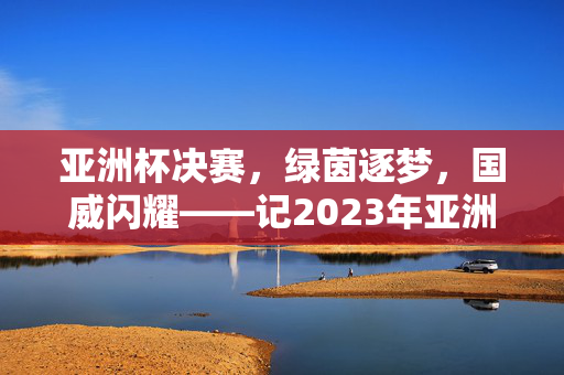亚洲杯决赛，绿茵逐梦，国威闪耀——记2023年亚洲杯足球赛决赛的巅峰对决
