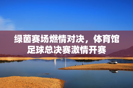 绿茵赛场燃情对决，体育馆足球总决赛激情开赛