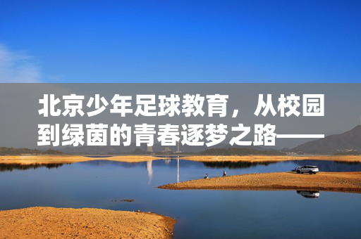 北京少年足球教育，从校园到绿茵的青春逐梦之路——北京少年足球教育的探索与成长，北京少年足球教育，从校园到绿茵的青春逐梦之路——北京少年足球教育的探索与成长