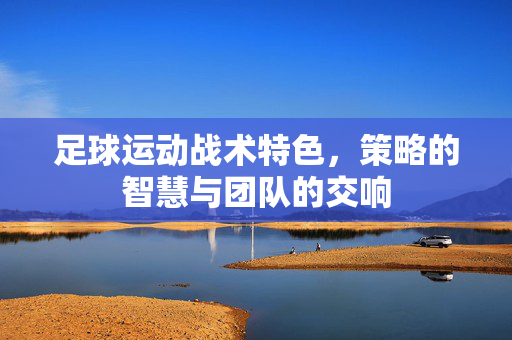足球运动战术特色，策略的智慧与团队的交响