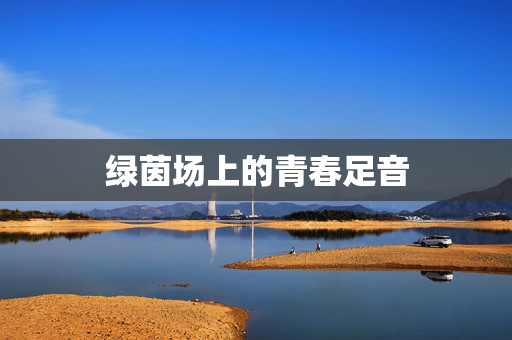 绿茵场上的青春足音