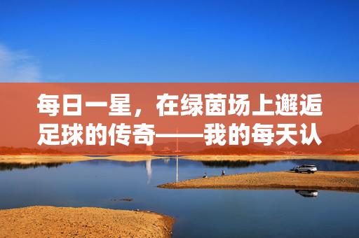 每日一星，在绿茵场上邂逅足球的传奇——我的每天认识一个足球员日常