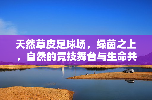 天然草皮足球场，绿茵之上，自然的竞技舞台与生命共鸣