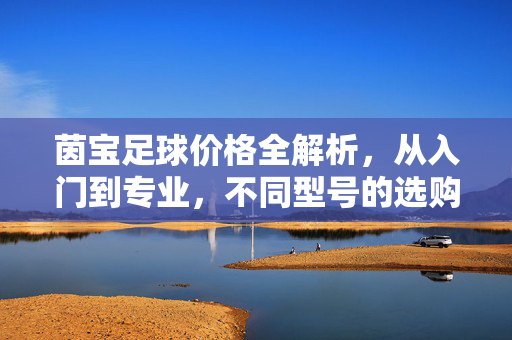 茵宝足球价格全解析，从入门到专业，不同型号的选购价格指南