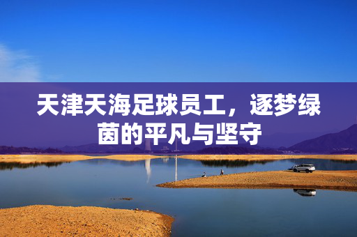 天津天海足球员工，逐梦绿茵的平凡与坚守