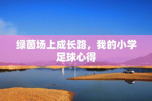 绿茵场上成长路，我的小学足球心得