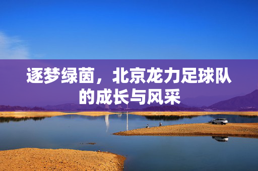 逐梦绿茵，北京龙力足球队的成长与风采