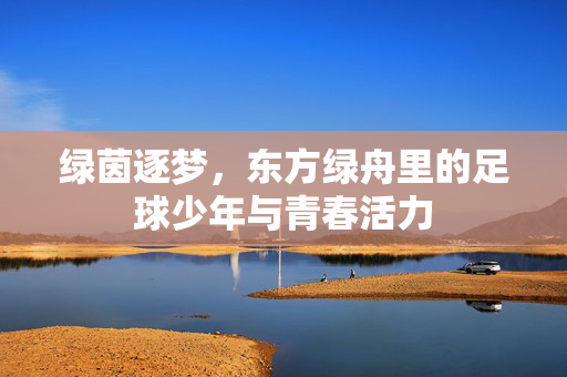 绿茵逐梦，东方绿舟里的足球少年与青春活力