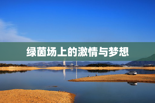 绿茵场上的激情与梦想