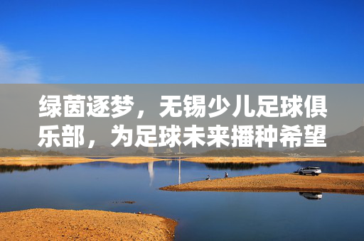 绿茵逐梦，无锡少儿足球俱乐部，为足球未来播种希望