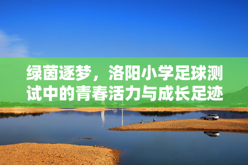 绿茵逐梦，洛阳小学足球测试中的青春活力与成长足迹