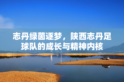 志丹绿茵逐梦,陕西志丹足球队的成长与精神内核