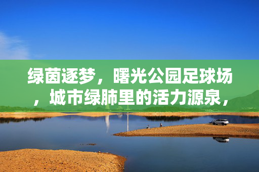 绿茵逐梦，曙光公园足球场，城市绿肺里的活力源泉，绿茵逐梦，曙光公园足球场，城市绿肺里的活力源泉
