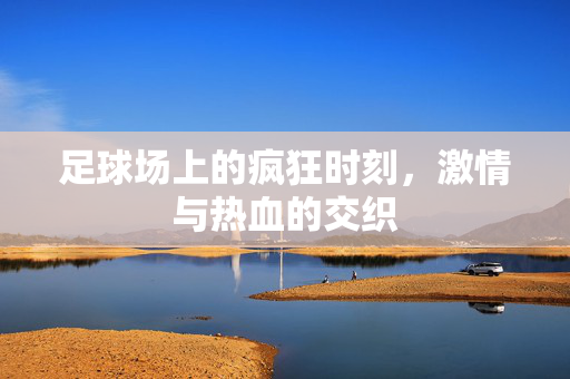 足球场上的疯狂时刻，激情与热血的交织