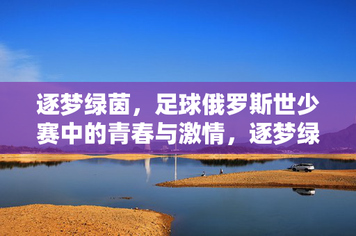 逐梦绿茵，足球俄罗斯世少赛中的青春与激情，逐梦绿茵，足球俄罗斯世少赛中的青春与激情