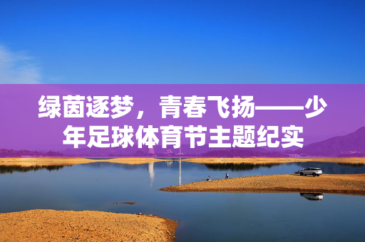 绿茵逐梦，青春飞扬——少年足球体育节主题纪实