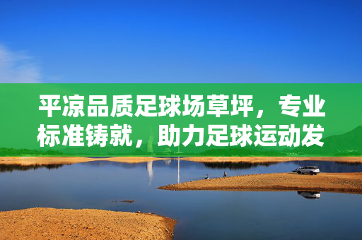 平凉品质足球场草坪，专业标准铸就，助力足球运动发展