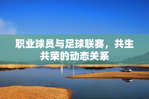 职业球员与足球联赛，共生共荣的动态关系