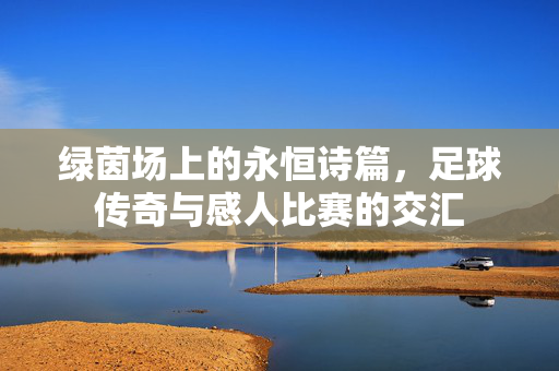 绿茵场上的永恒诗篇，足球传奇与感人比赛的交汇