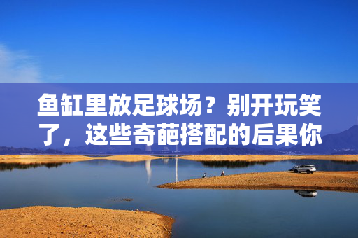 鱼缸里放足球场？别开玩笑了，这些奇葩搭配的后果你可得知道