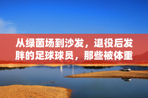 从绿茵场到沙发，退役后发胖的足球球员，那些被体重反噬的昔日巨星，从绿茵场到沙发，退役后发胖的足球球员，昔日巨星如何被体重反噬