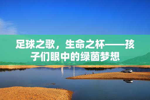 足球之歌，生命之杯——孩子们眼中的绿茵梦想