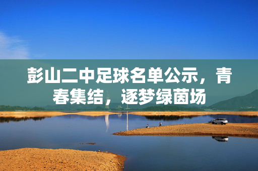 彭山二中足球名单公示，青春集结，逐梦绿茵场