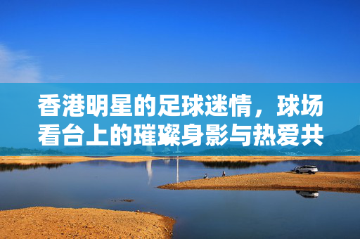 香港明星的足球迷情，球场看台上的璀璨身影与热爱共鸣