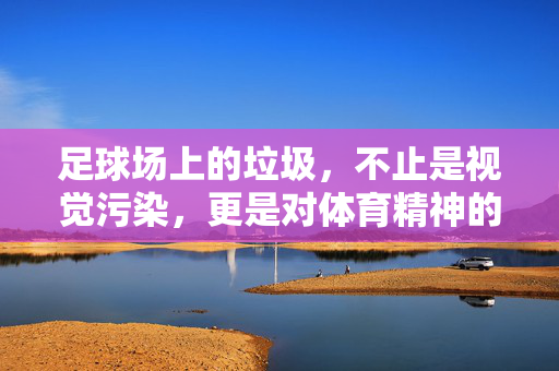 足球场上的垃圾，不止是视觉污染，更是对体育精神的亵渎