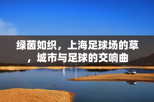 绿茵如织，上海足球场的草，城市与足球的交响曲