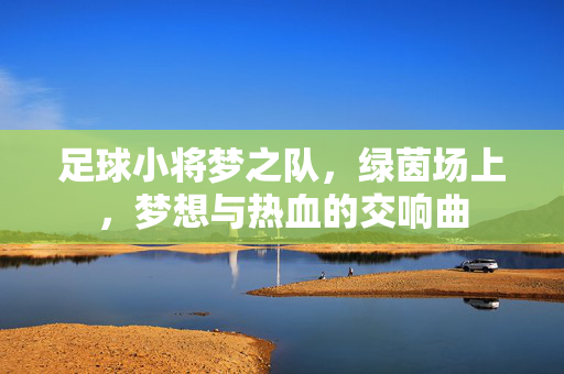 足球小将梦之队，绿茵场上，梦想与热血的交响曲