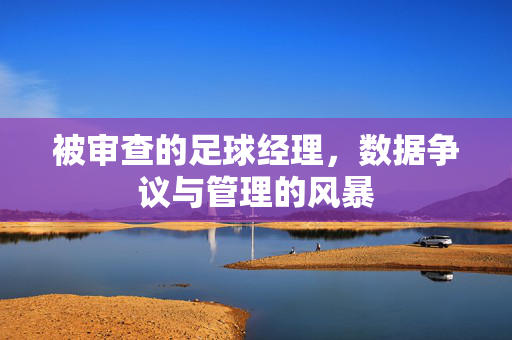 被审查的足球经理，数据争议与管理的风暴