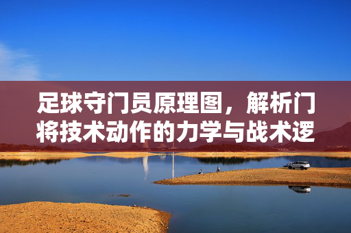 足球守门员原理图，解析门将技术动作的力学与战术逻辑