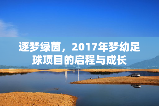 逐梦绿茵，2017年梦幼足球项目的启程与成长