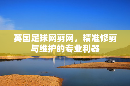 英国足球网剪网，精准修剪与维护的专业利器