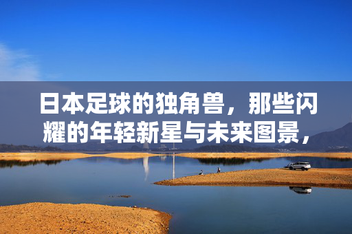 日本足球的独角兽,那些闪耀的年轻新星与未来图景,日本足球的独角兽,闪耀的年轻新星与未来图景