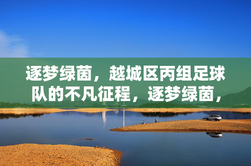 逐梦绿茵，越城区丙组足球队的不凡征程，逐梦绿茵，越城区丙组足球队的不凡征程