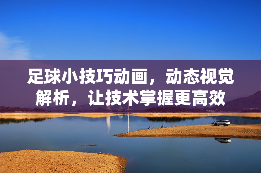 足球小技巧动画，动态视觉解析，让技术掌握更高效