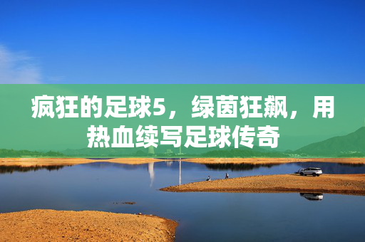 疯狂的足球5，绿茵狂飙，用热血续写足球传奇