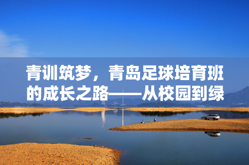青训筑梦，青岛足球培育班的成长之路——从校园到绿茵的逐梦之旅