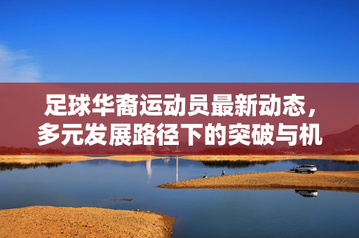 足球华裔运动员最新动态，多元发展路径下的突破与机遇