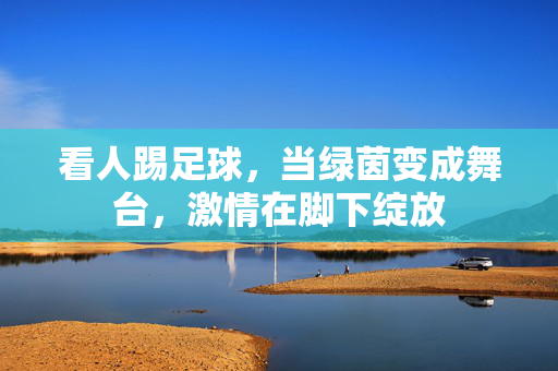 看人踢足球,当绿茵变成舞台,激情在脚下绽放