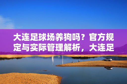 大连足球场养狗吗？官方规定与实际管理解析，大连足球场养狗吗？官方规定与实际管理解析