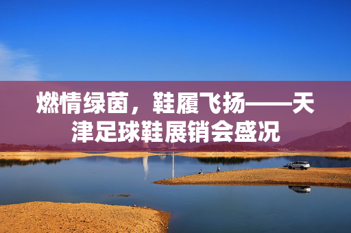 燃情绿茵，鞋履飞扬——天津足球鞋展销会盛况