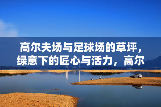 高尔夫场与足球场的草坪，绿意下的匠心与活力，高尔夫场与足球场的草坪，绿意下的匠心与活力