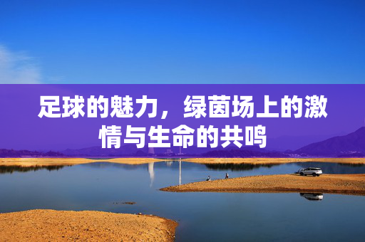 足球的魅力，绿茵场上的激情与生命的共鸣