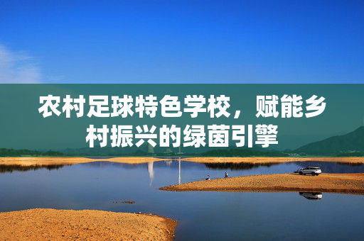 农村足球特色学校,赋能乡村振兴的绿茵引擎